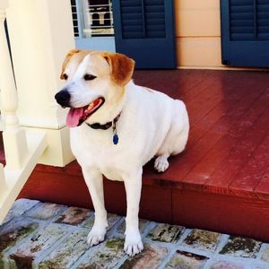 Meet your Posher, Inga